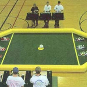 Micro-Reality Soccer