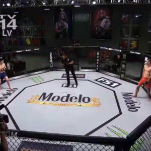 Octagon MMA Cage for Rent in Los Angeles.