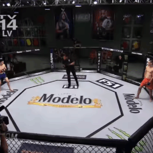 MMA Octagon Cage Rental MMA / UFC Cage