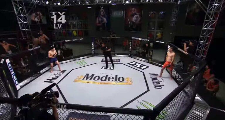Octagon MMA Cage for Rent in Los Angeles.