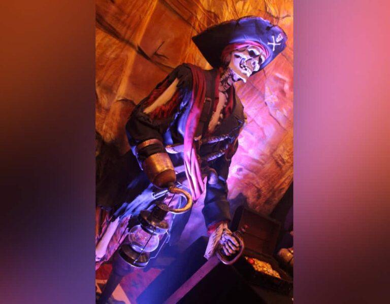 Pirate Props ( various types )