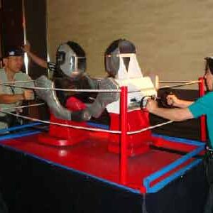 Rockem Sockem Robots