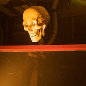 Talking Skull