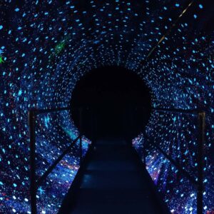 Vortex Tunnel