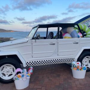 VW Thing