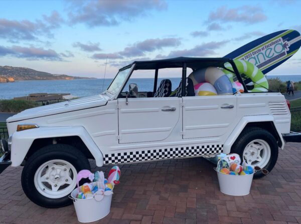 VW Thing