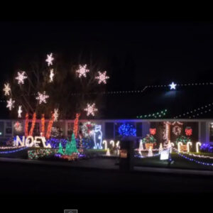 Christmas Lights