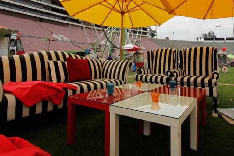 Zebra Furniture
