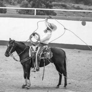 Western
