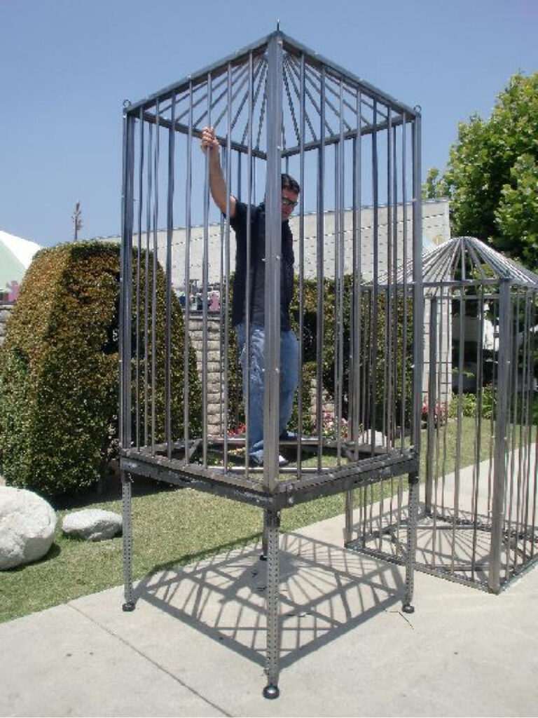 Dance Cage with Stand Rental | Elevated Performance Cage